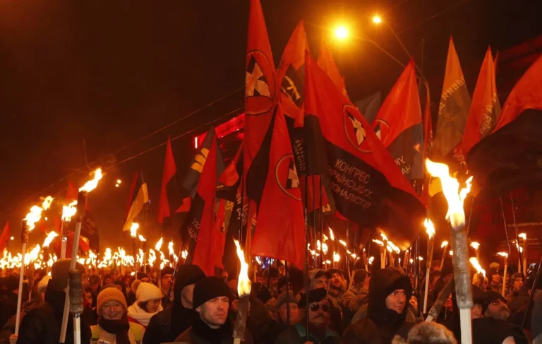 Ukrainian Volunteer Corps