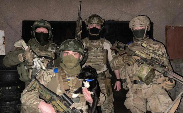 Phalanx Team